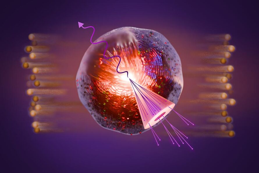 An artistic representation of a liquidlike fireball of "quark-gluon plasma" (QGP) created in a collision of two gold ions at the Relativistic Heavy Ion Collider (RHIC). This collision has also produced a correlated spray of particles (a "jet") back-to-back with a photon (wavy purple line). Scientists from RHIC's STAR Collaboration showed that interactions of the jet particles cause the QGP to splash sideways, like the wake behind a power boat, enabling them to measure properties of the plasma. (Valerie A. Lentz/Brookhaven National Laboratory)