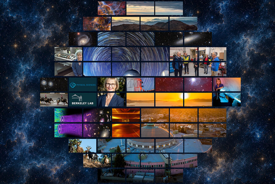 Photo collage of Natalie Roe's Berkeley Lab career highlights.